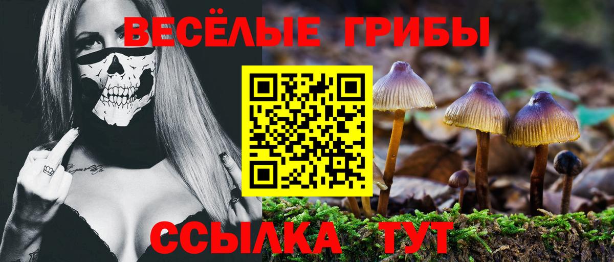 Псилоцибиновые грибы мицелий Дзержинский