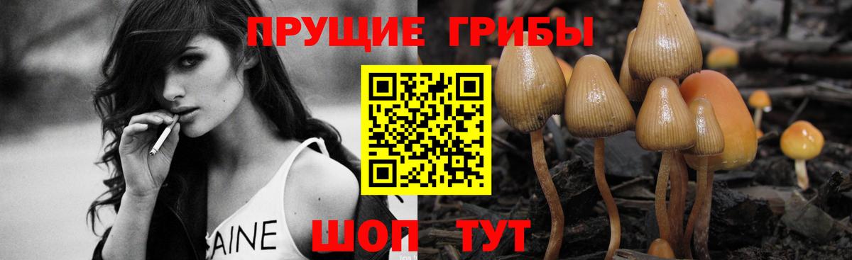 купить  цена  Вход с VPN  Дзержинский  Псилоцибиновые грибы Cubensis 